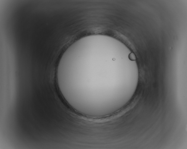 X0000101190018200806270856