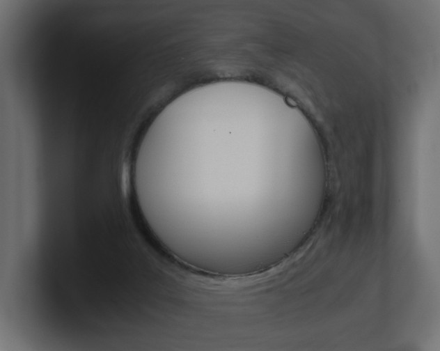X0000101190019200806270856
