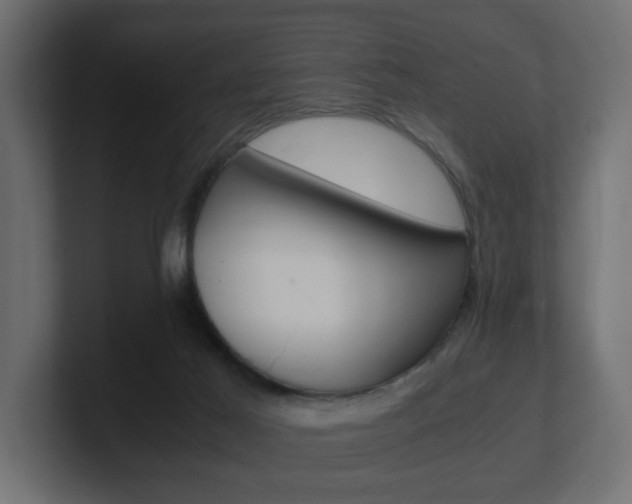 X0000101190021200806270856