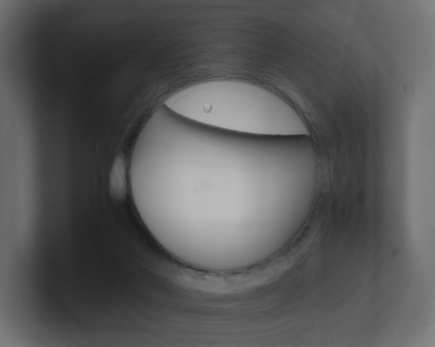 X0000101190022200806270856