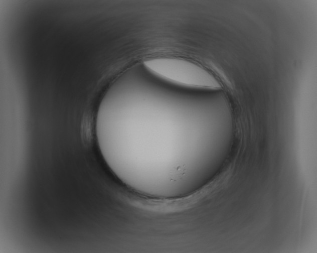 X0000101190023200806270856