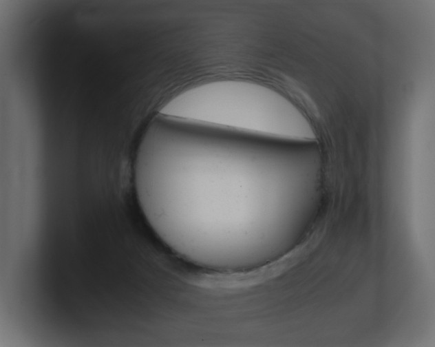 X0000101190025200806270856
