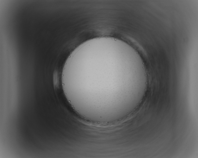 X0000101190026200806270856