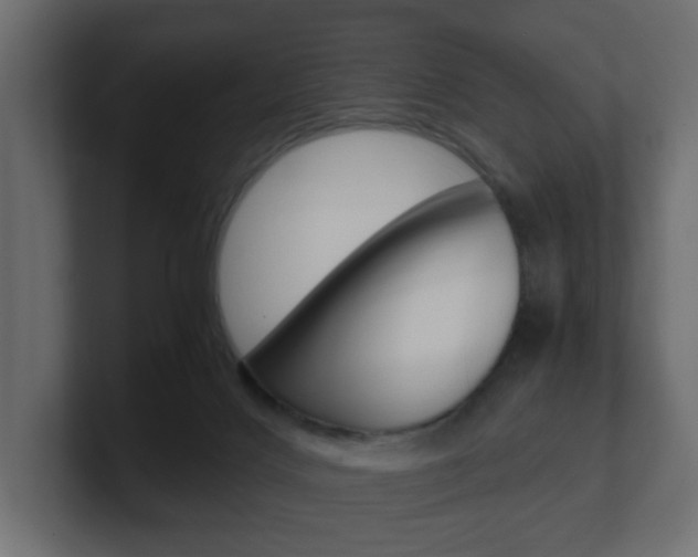 X0000101190028200806270856
