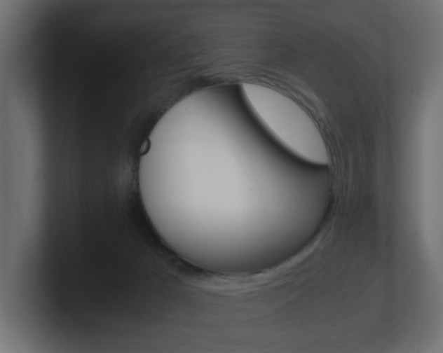 X0000101190029200806270856