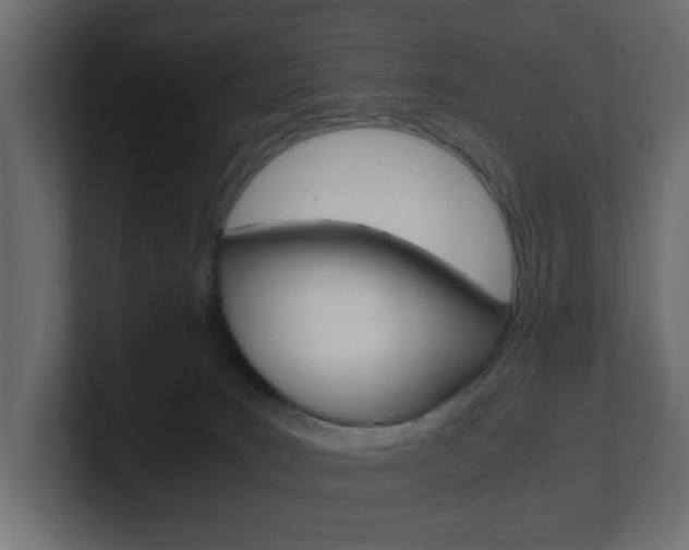 X0000101190035200806270856