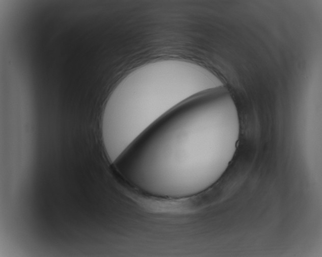 X0000101190036200806270856