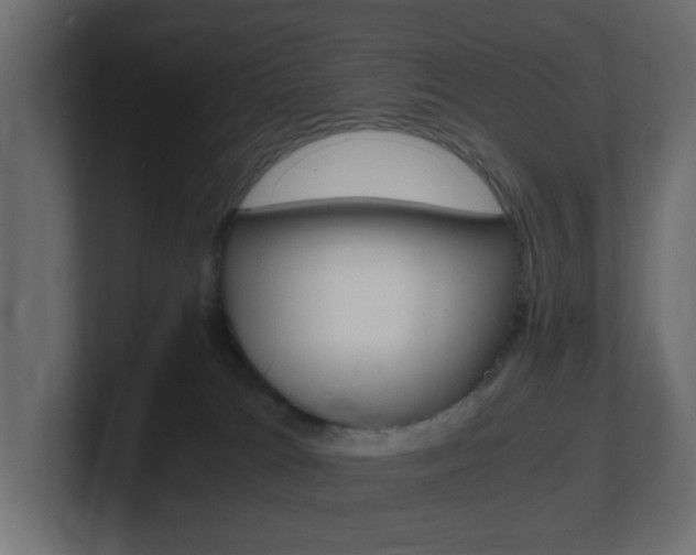 X0000101190037200806270856