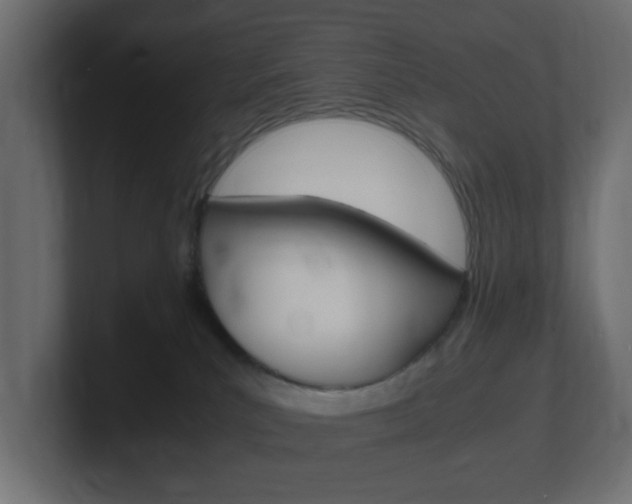 X0000101190039200806270856