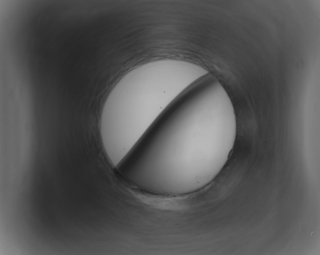 X0000101190040200806270856