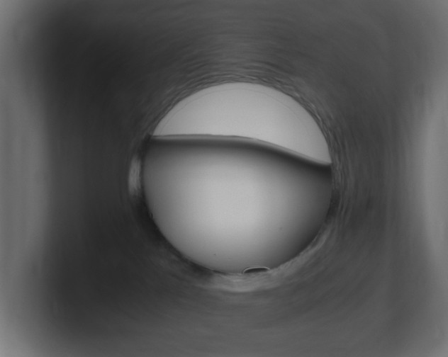 X0000101190041200806270856