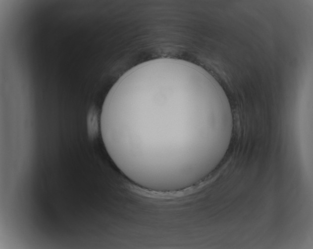 X0000101190042200806270856