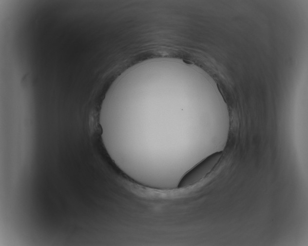 X0000101190043200806270856