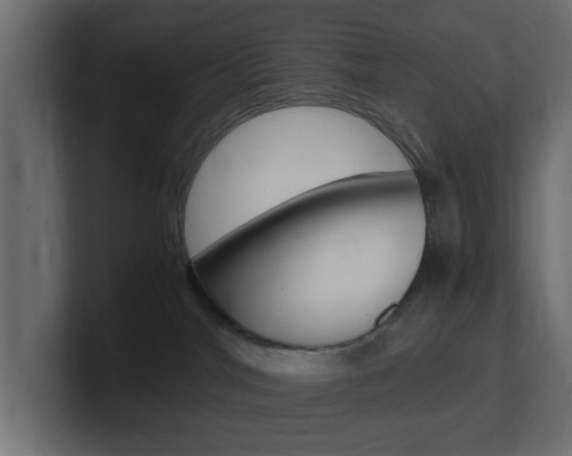 X0000101190044200806270856