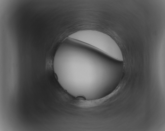 X0000101190045200806270856