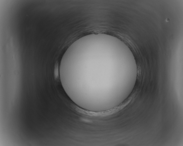 X0000101190046200806270856