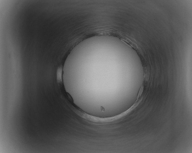 X0000101190047200806270856