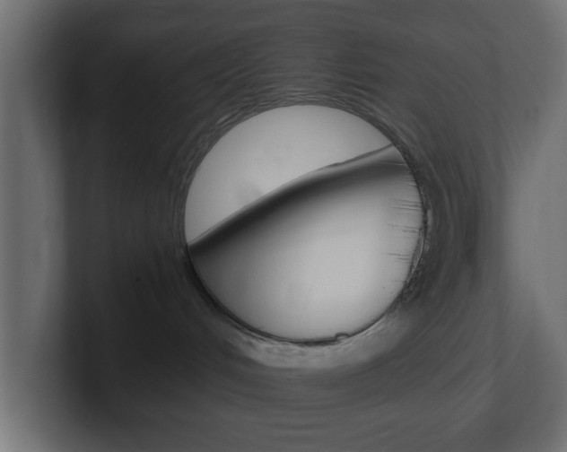 X0000101190048200806270856