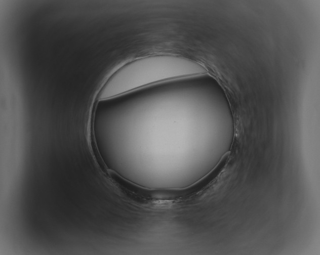 X0000101190052200806270855