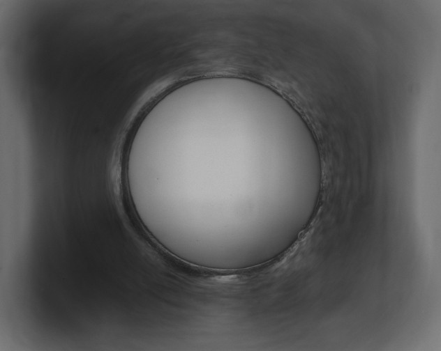 X0000101190054200806270855