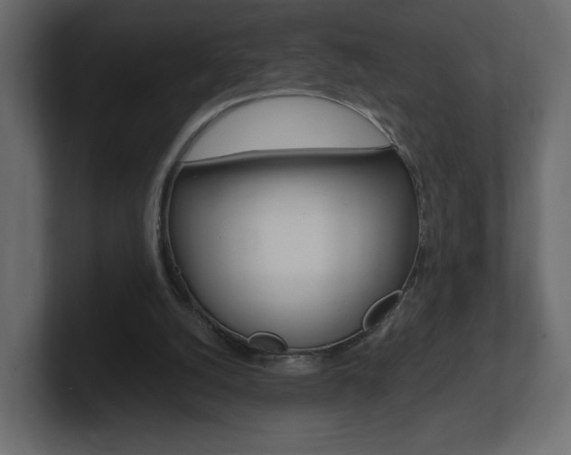 X0000101190056200806270855