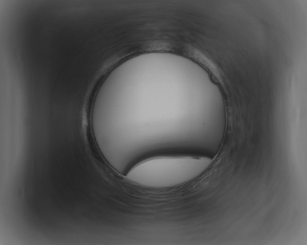 X0000101190059200806270855