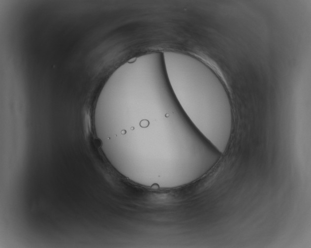 X0000101190061200806270856