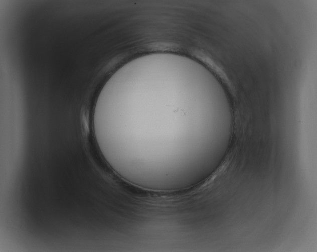 X0000101190062200806270856