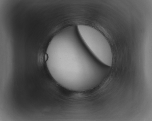 X0000101190071200806270856