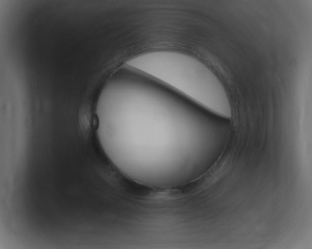 X0000101190072200806270856