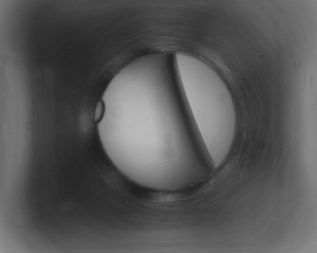 X0000101190073200806270856