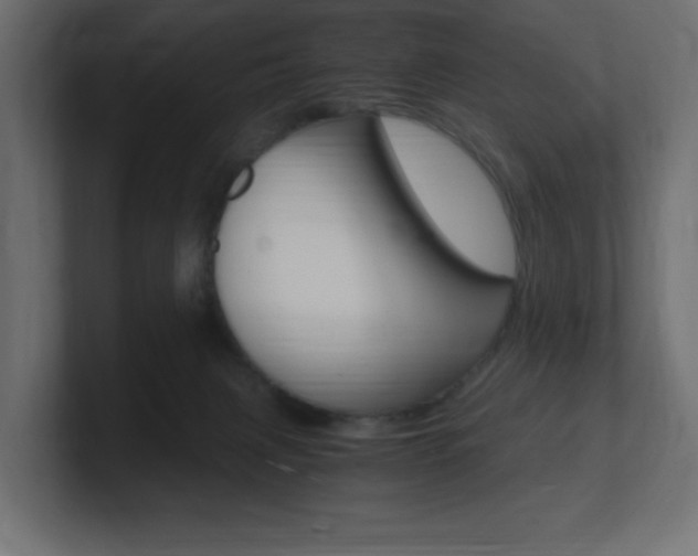 X0000101190079200806270856