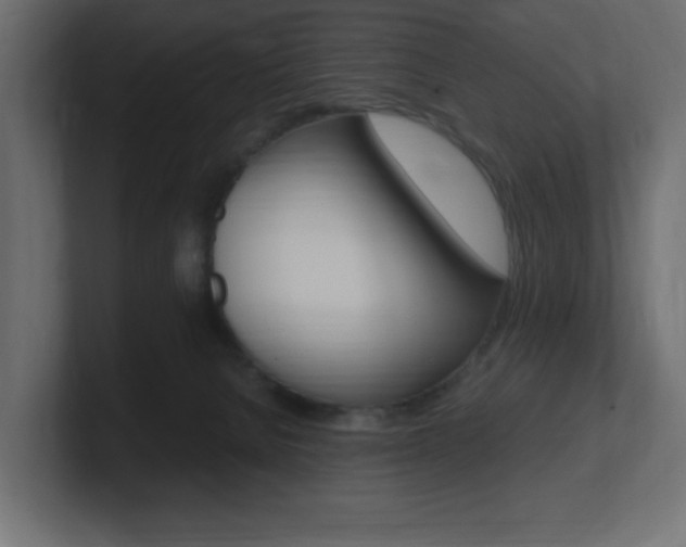 X0000101190080200806270856