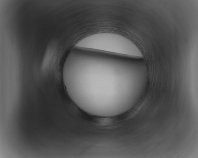 X0000101190085200806270856