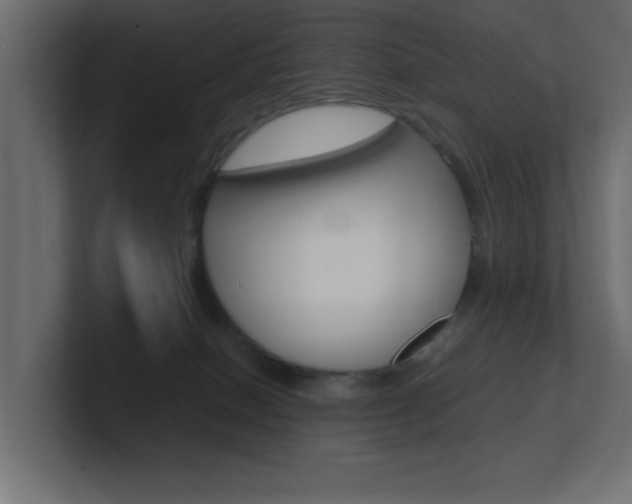 X0000101190086200806270856
