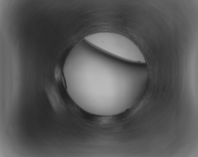 X0000101190089200806270856