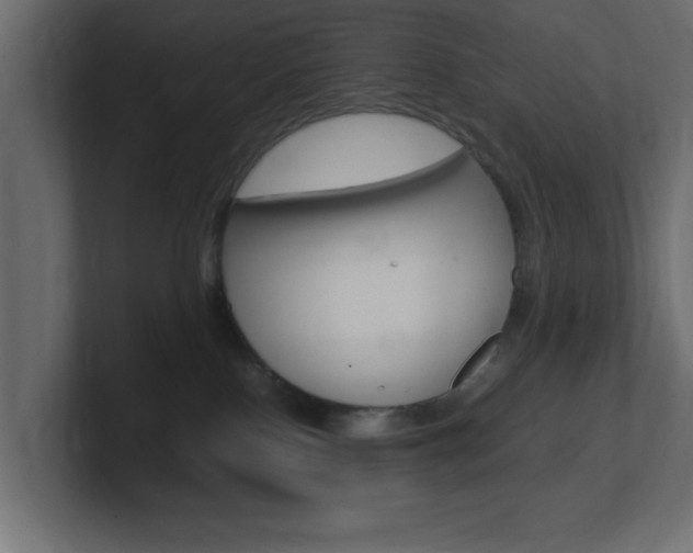 X0000101190090200806270856