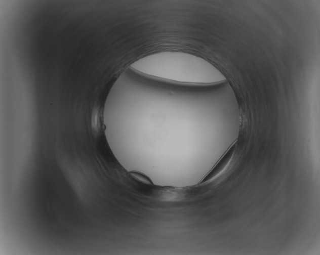 X0000101190094200806270856