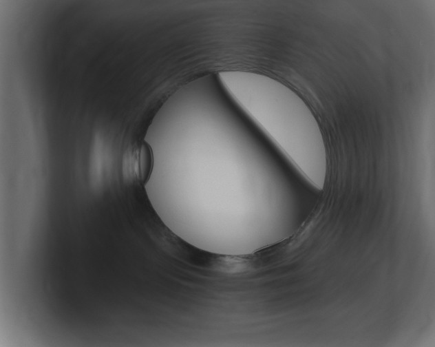 X0000101190095200806270856