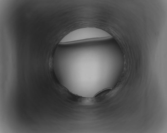 X0000101190096200806270856