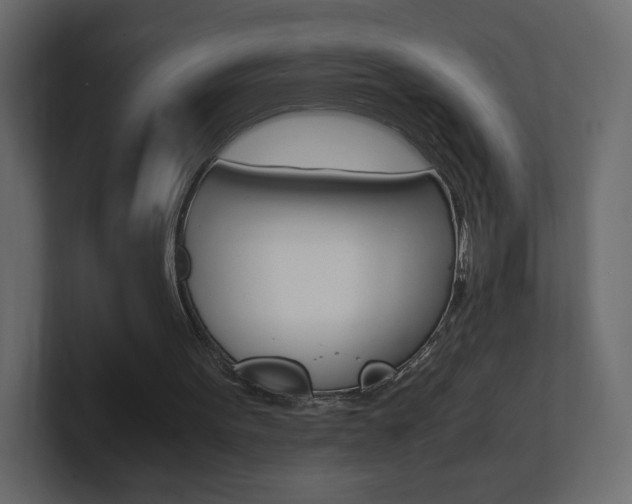 X0000101190099200806270855