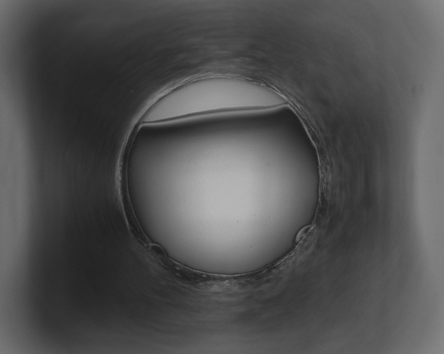 X0000101190100200806270855