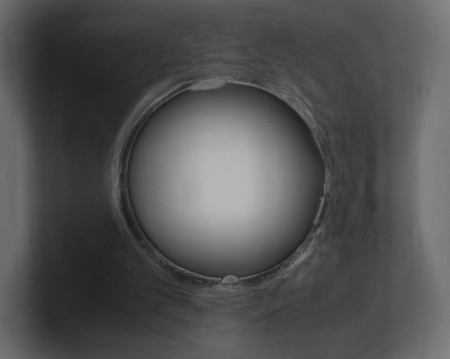 X0000101190101200806270855