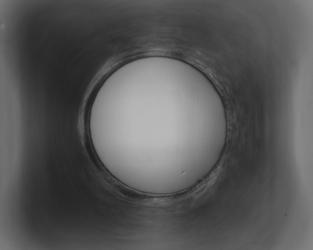 X0000101190102200806270855