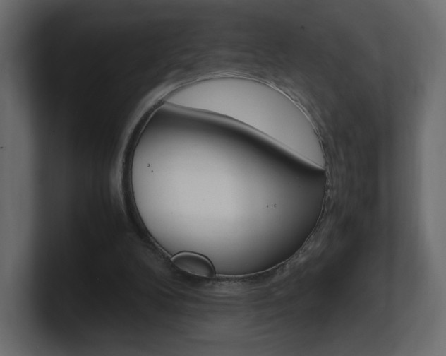 X0000101190104200806270855