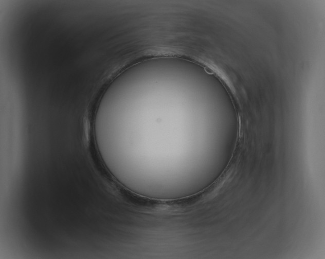 X0000101190109200806270855