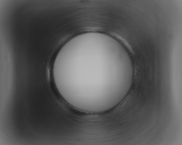 X0000101190110200806270855