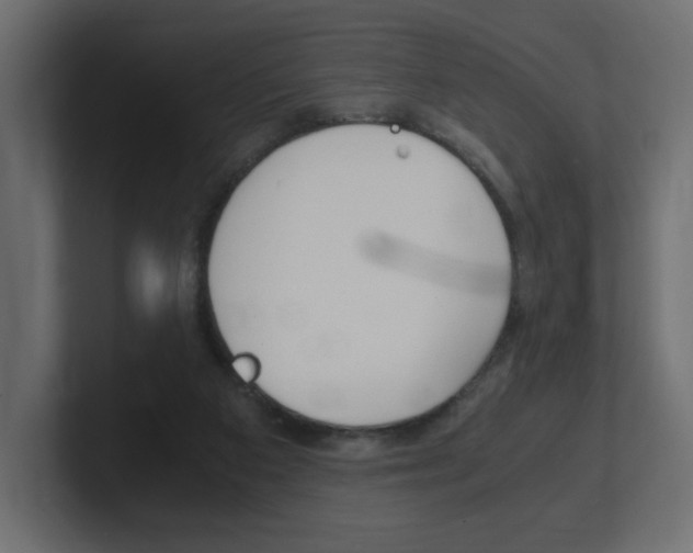 X0000101190113200806270855