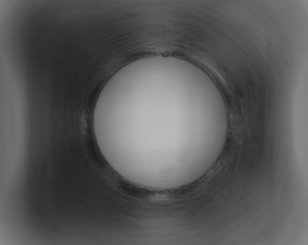 X0000101190114200806270855