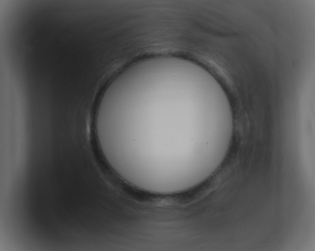 X0000101190115200806270855